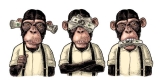 Hear no evil, See no evil, Speak no evil